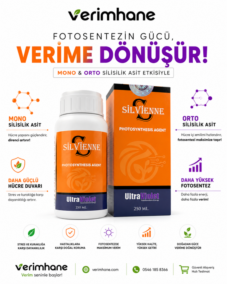 Silvienne - Silisilik Asit 250 ml